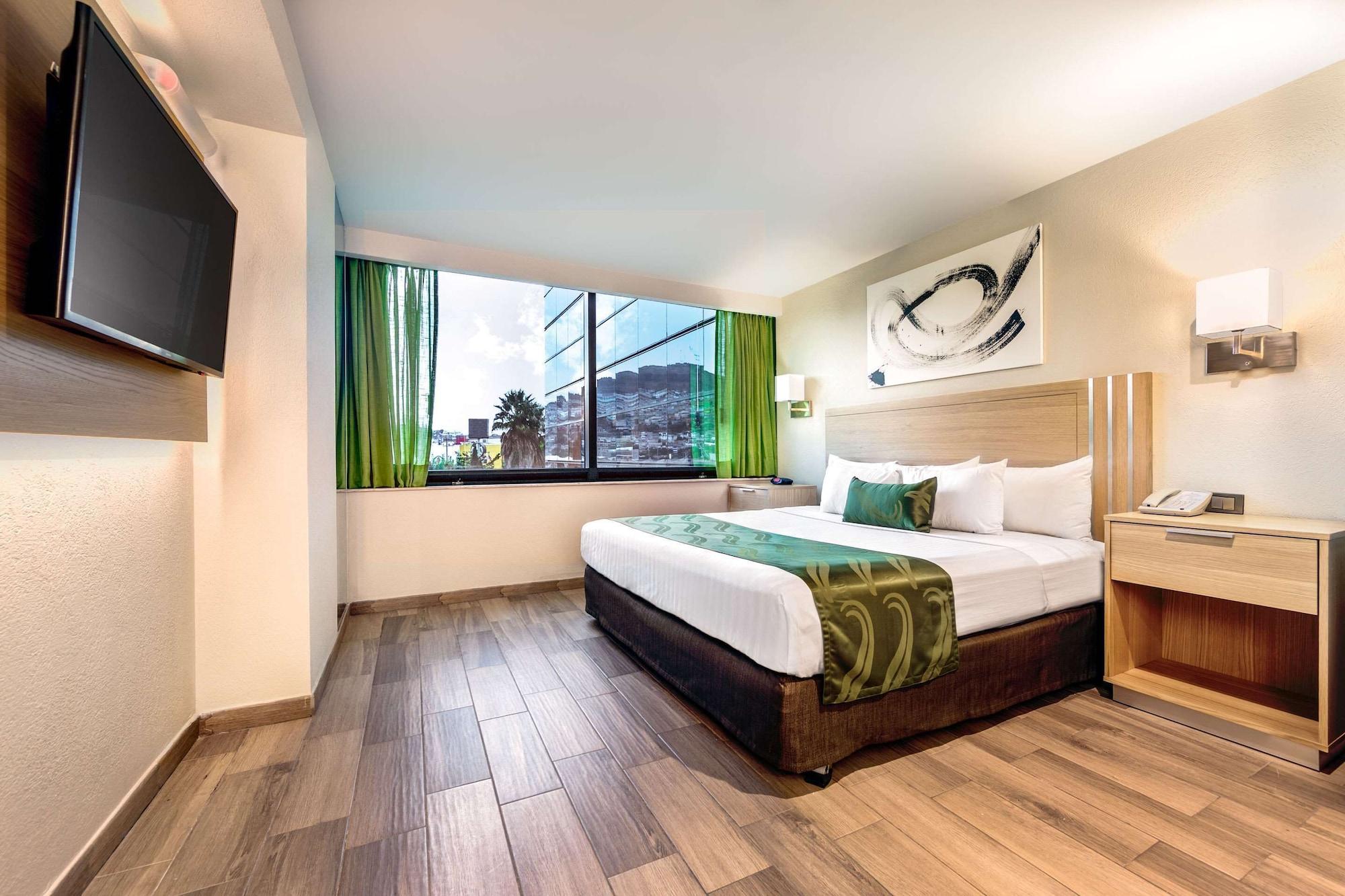 Hotel La Joya Pachuca Zewnętrze zdjęcie A room at the hotel