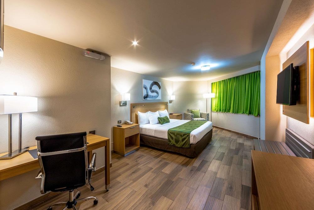 Hotel La Joya Pachuca Zewnętrze zdjęcie A typical hotel room